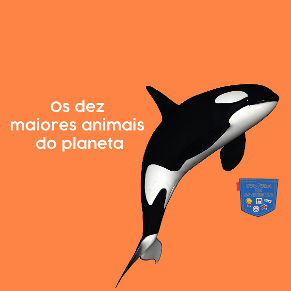 Os dez maiores animais do planeta