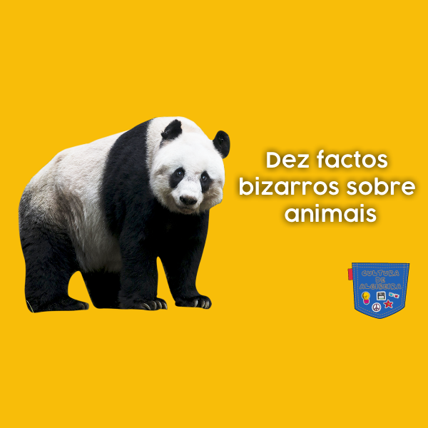 Dez factos bizarros sobre animais