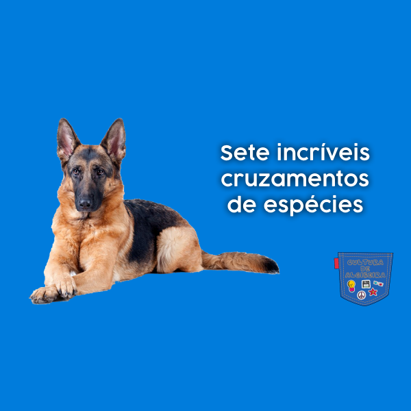 Sete incríveis cruzamentos de espécies