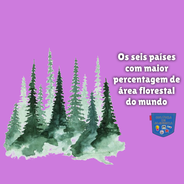 Os seis países com maior percentagem de área florestal do mundo