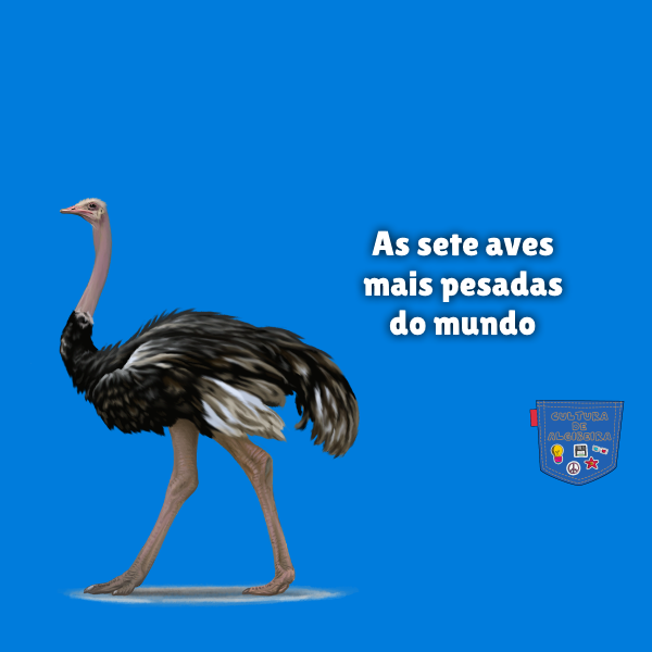 As sete aves mais pesadas do mundo