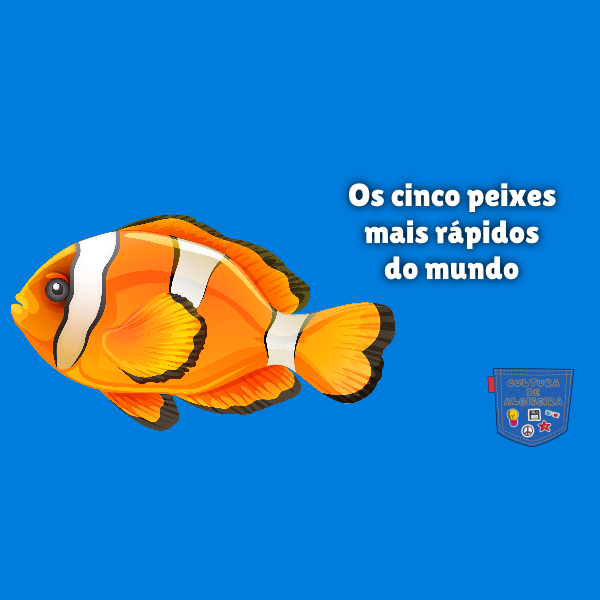 Os cinco peixes mais rápidos do mundo